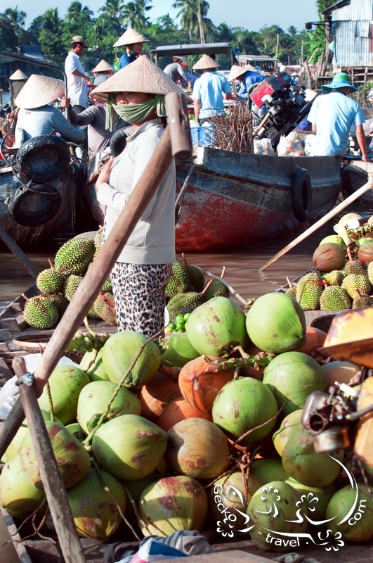 Rivers of the world. Mekong - Asia, River, Travels, Longpost