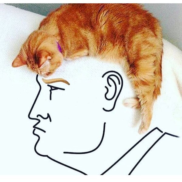  ,  , 