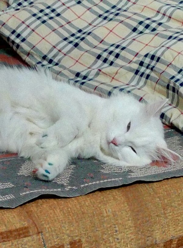 Нужна помощь...