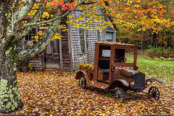 Autumn in Maine - Photo, Autumn, Retro, Ford