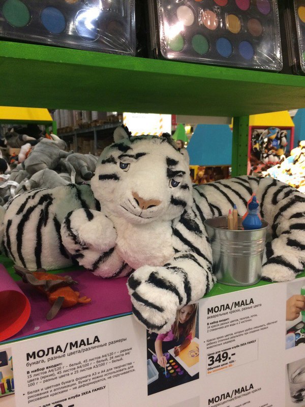 Christmas mood: tiger from ikea - My, New Year, Tiger, Tangerines, Longpost