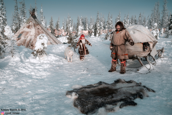 In the country of Nenets - My, My, Russia, Canon, Yamal, Tundra, Nomads, Photo, Photographer