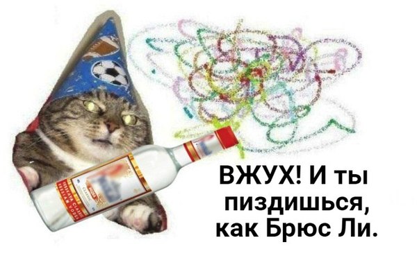 Drunken master as an inner instinct ... (c) - Taken, In contact with, cat, Vzhuh, , , Bench