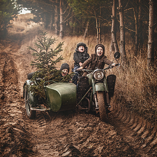 Into the forest behind the tree - Photo, Christmas tree, Christmas trees, Children, Mood