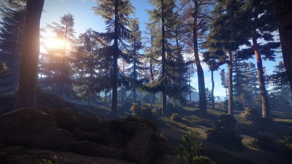 Realistic picture in games is no longer a rarity. - Procedural generation, Games, beauty, Nature, Rust, Longpost