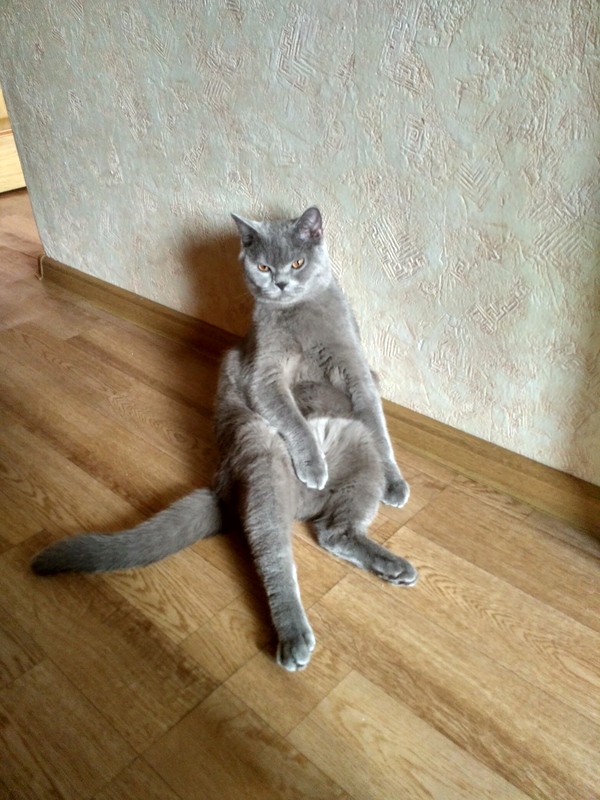    .   ) , , , , 