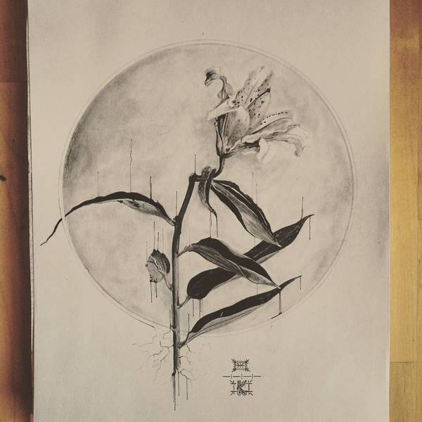 Slightly off topic... - My, Flowers, the Rose, Plants, Drawing, Pencil drawing, Longpost, Art, Creation