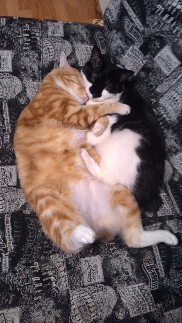 � ����� ��������� ����� ����...