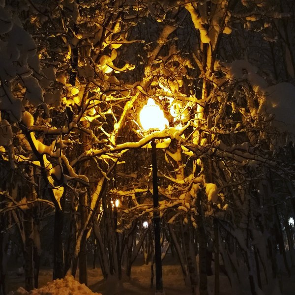 Evening winter park - My, The park, Winter, Murmansk, My, Lamp, Snow