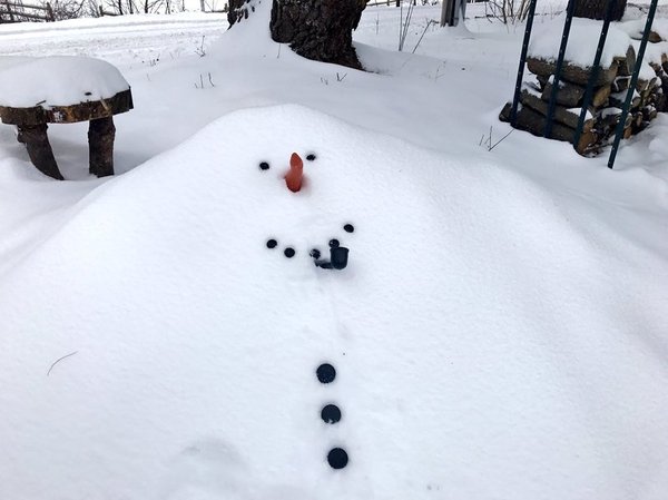 Коротко о том, как я выгляжу 1 января в обед:) - Юморист, Зима, Снеговик, Юмор, Картинки