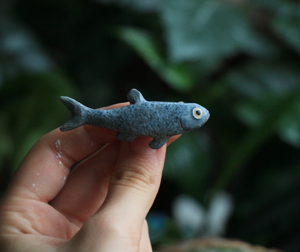 New and old hobbies. - My, Longpost, Polymer clay, A fish, Brooch, Decoration, Needlework