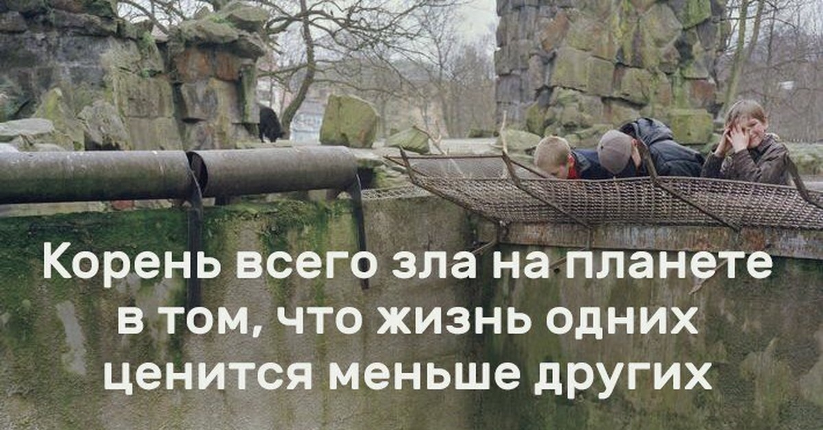 Корень зла прикольные картинки