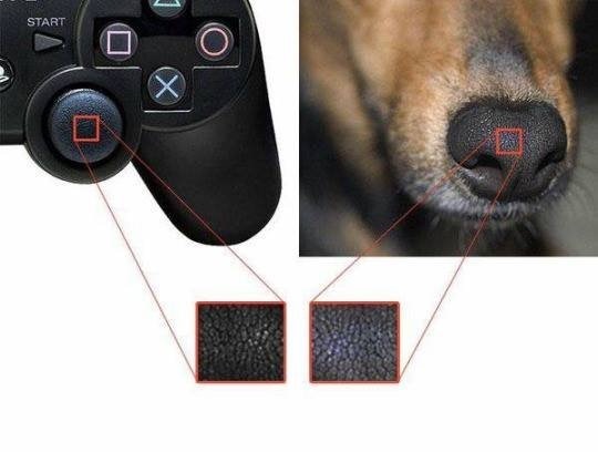 Every year, tens of millions of dogs are killed to make a new PlayStation controller. - Dog, Controller, Humor, Reddit