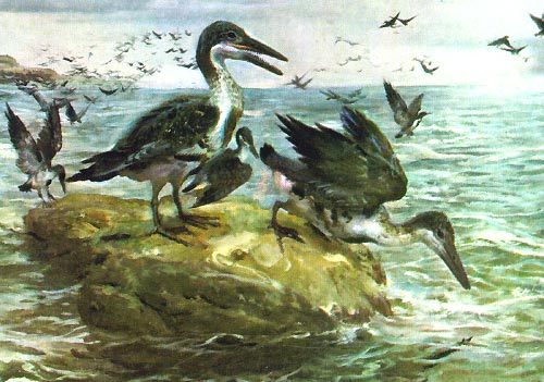 Cretaceous birds and their evolution. - My, Birds, Paleontology, Evolution, Cretaceous, Longpost