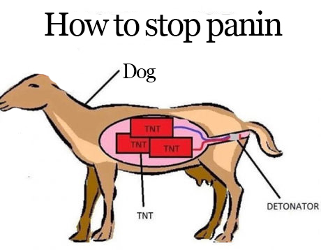 How to stop Panin - Alexey Panin, Dog, Detonator, TNT