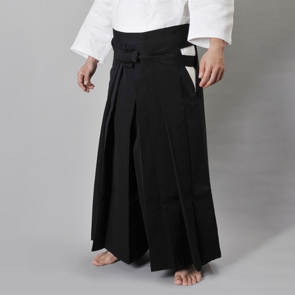 About aikido [another look] - My, Aikido, Martial arts, Reasoning, Text, Longpost