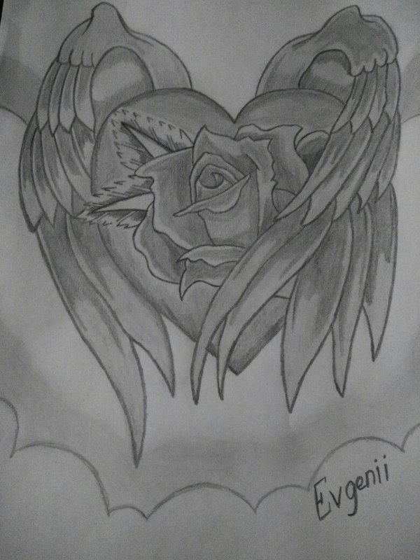 How do you like it? - My, Wings, Heart, the Rose, Flowers, Drawing, Pencil, Graphics