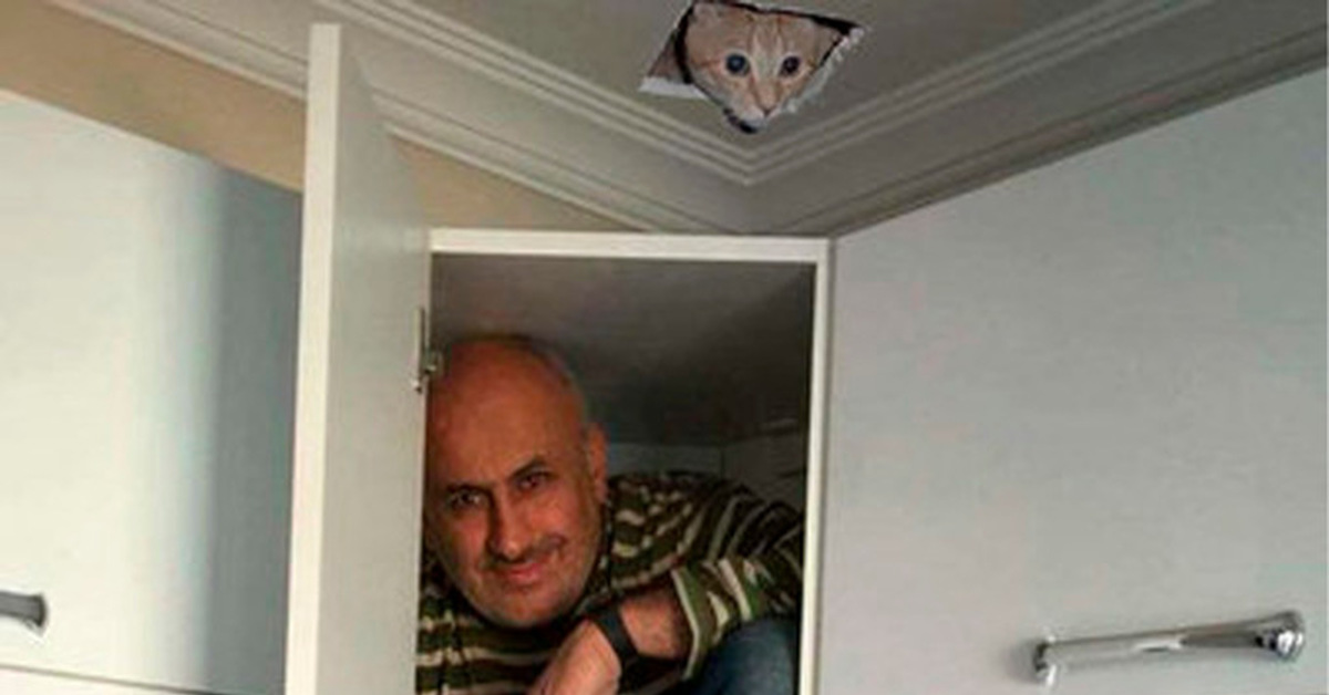 Коты в шкафу. Кот далеко. Шкаф рисунок. В шкафу сидишь да. В шкафу сидишь да.