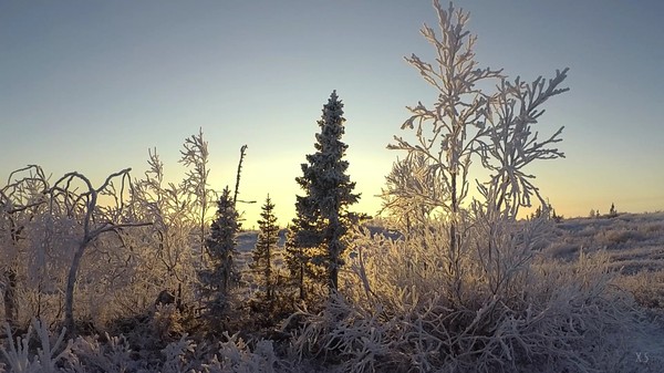 Change of seasons autumn-winter in this frosty year in the polar tundra. - My, Autumn, Winter, Nature, Tundra, freezing, Travels, Landscape, Longpost