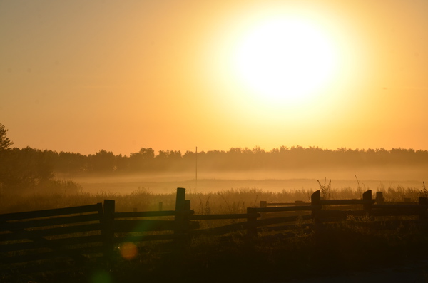 Sunset - My, Siberia, , Sunset, beauty