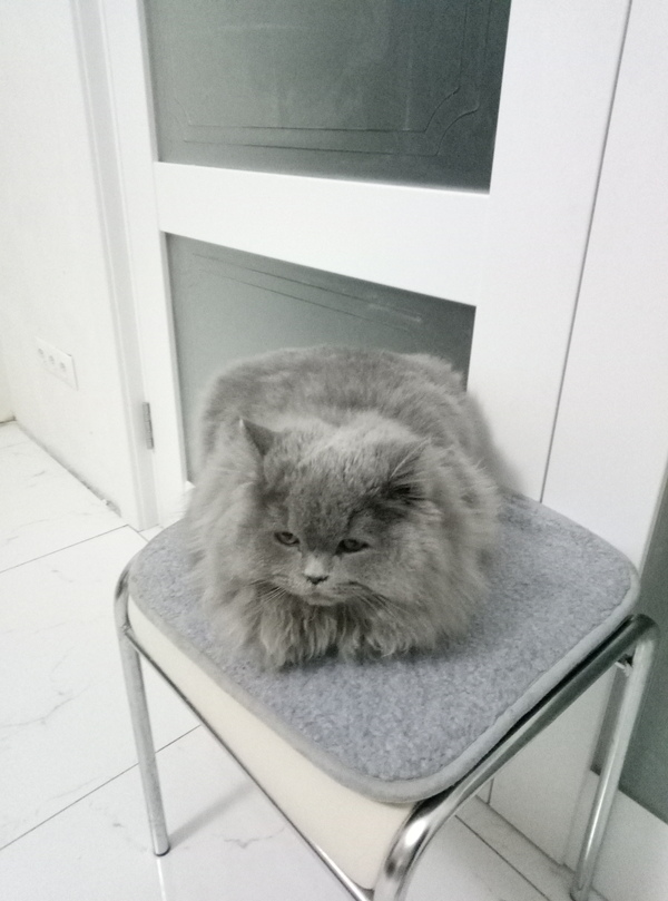 Hello darkness, my old friend..