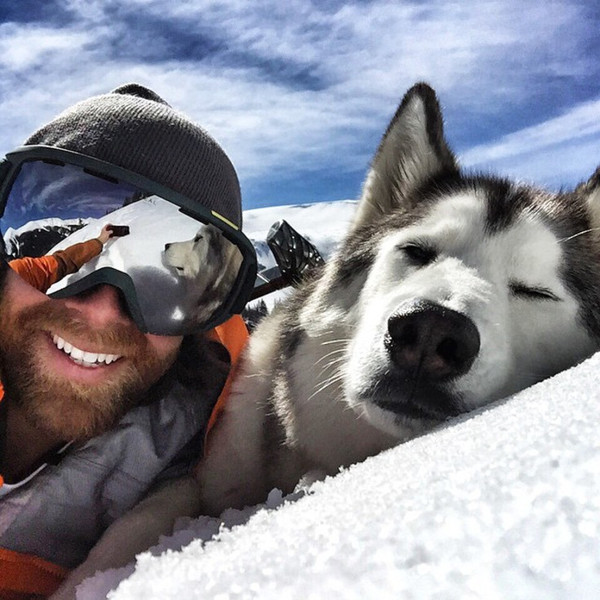 positive selfie - Dog, The male, Glasses, Reflection, Selfie, Snow, Husky, Men