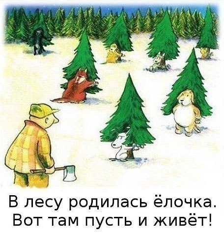 В лесу родилась ёлочка