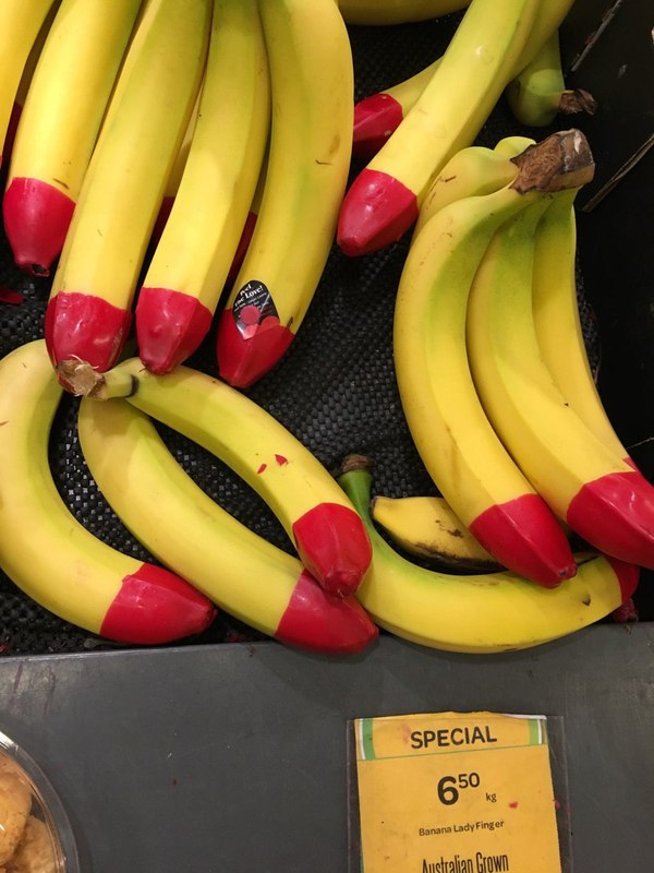 Manicured bananas in Australia - Banana, Australia