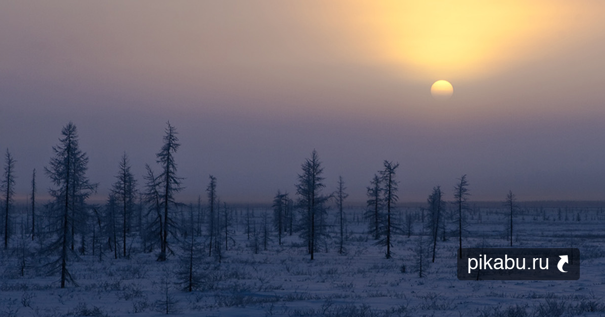 Зона крайнего севера россии. Норильск тундра зимой. Норильск тундра летом. Тундра и лесотундра Северное сияние.