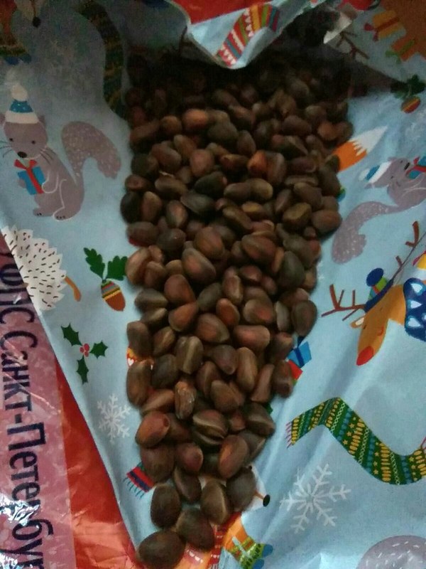 Новогодний обмен. Новый Год, Обмен подарками, Вкусняшки, Длиннопост