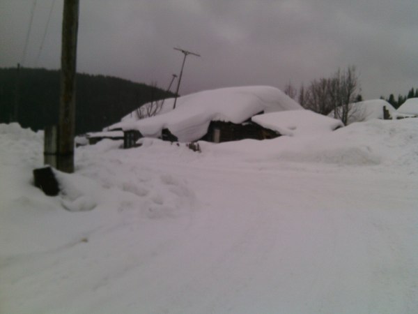 ski history - My, Skis, Perm Territory, Winter, Cold, House, Longpost