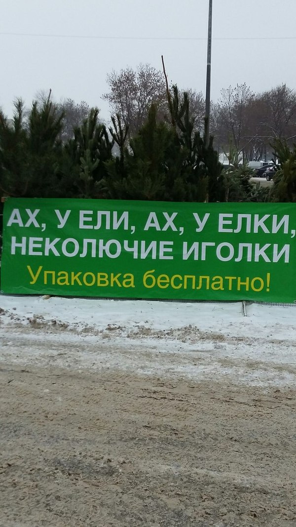 The gods of marketing - Christmas trees, The gods of marketing, Advertising, Tambov