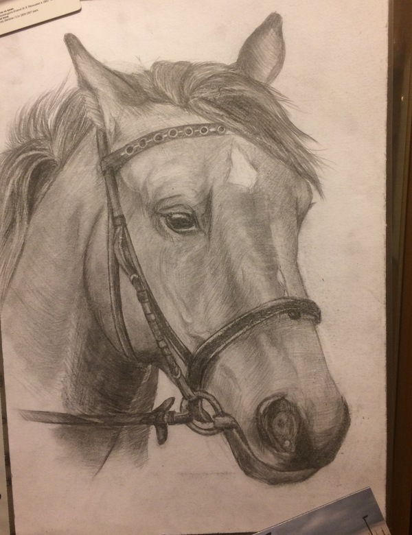 Basia - My, My, Drawing, Horses