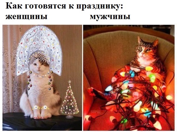 How to prepare for the holiday. - cat, Holidays, Garland, New Year, Images