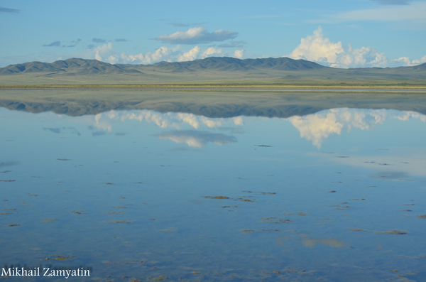 �����. �����