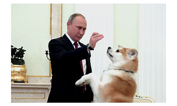 The most strict dog belongs to the President of Russia - Animals, cat, Cats and dogs together, The rescue, A life, Vladimir Putin