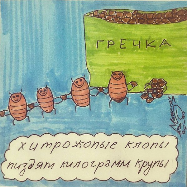 По данным Минсельхоза России. - Гречка, Минсельхоз, Цены, Накрутка, Обман, Деньги