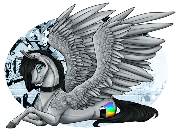 ����� ���� �������� �����