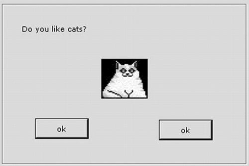 Do you like cats? ,  , 