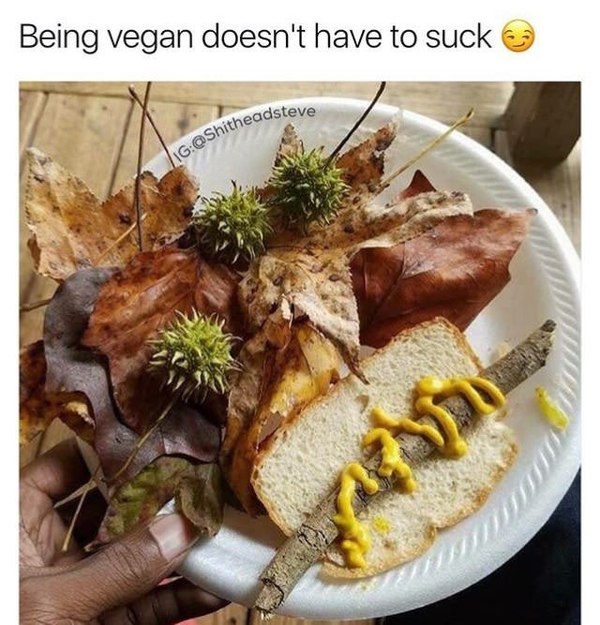 Being a vegan isn't bad. - Vegan, 9GAG, Leaves