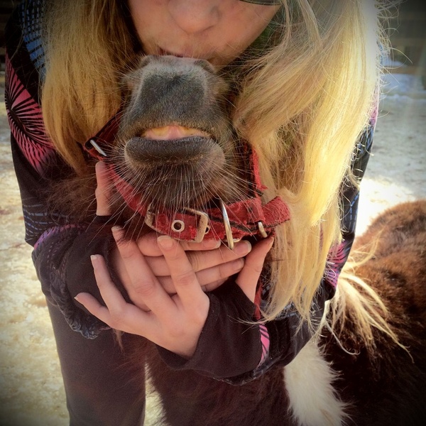 Волосатый подбородок