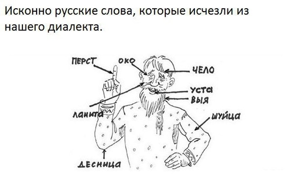 Забытые слова - Русский язык, Забытые слова