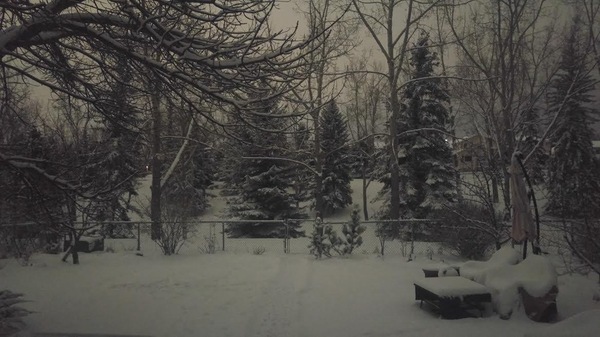 ����� ����� ������ �� �����