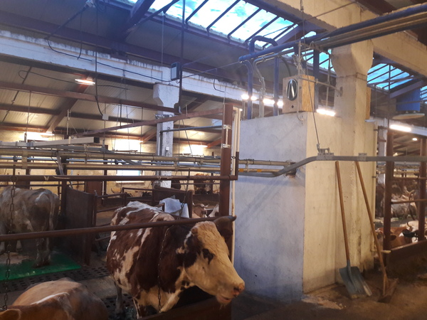 Дискотеку не заказывали?