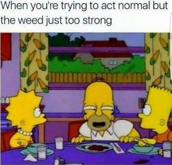 ������ � �����