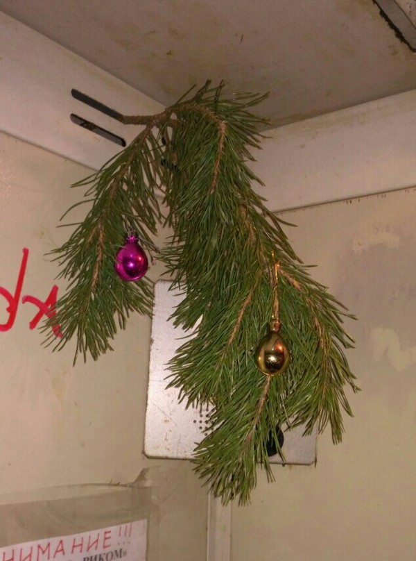 Someone hung a twig in the elevator ... And I returned home, took the toys and attached them) - Not mine, New Year, Holidays