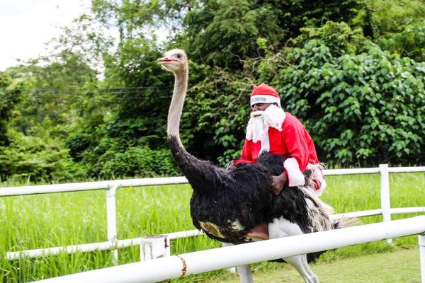 ����� ������, ����� � �����.