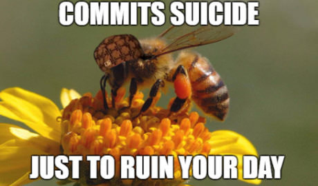 Kills himself to ruin your day - 9GAG, Images, Suicide, Bite, Bees