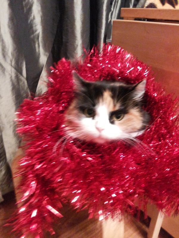 ���������� ����������