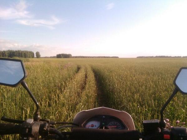 Ural summer - My, Summer, Moto, Photo, Motorcycles, Field